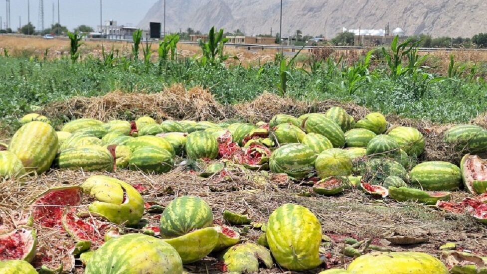 مشکل کامیون هندوانه کاران گچساران تا حدودی برطرف شد