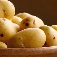 این گیاه سرشار از ویتامین C و B است، کلسترول هم کاهش می‌دهد