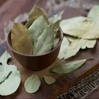 برگ بو این همه خاصیت دارد!