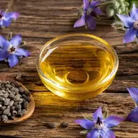 برداشت بیش از ۱۰ هزار تُن گیاهان دارویی در گیلان