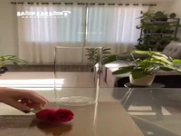 به همین سادگی گلدون به این زیبایی درست کن 