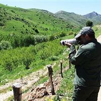 نتیجه جلسه مصالحه پرونده محیط‌بان کرمانی به زودی اعلام می‌شود