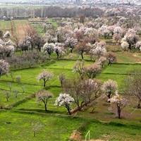 زنان قزوینی در حفظ میراث طبیعی نقش آفرینی کنند