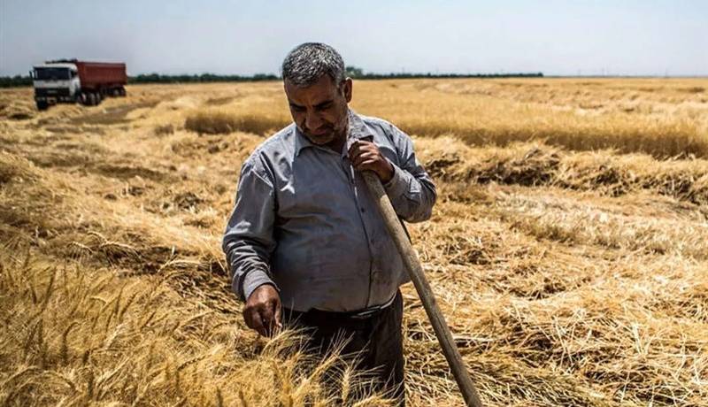 32 همت طلب گندمکاران پرداخت نشد