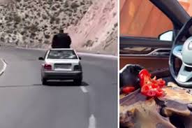 از آشپزی در حال رانندگی تا بدلکاری خیابانی!