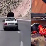  از آشپزی در حال رانندگی تا بدلکاری خیابانی!