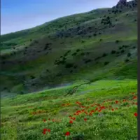 طبیعت زیبای سوباتان