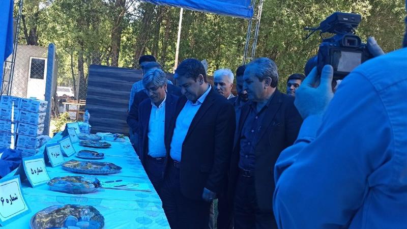 جشنواره طبخ آبزیان در بولاخلار نیر برگزار شد