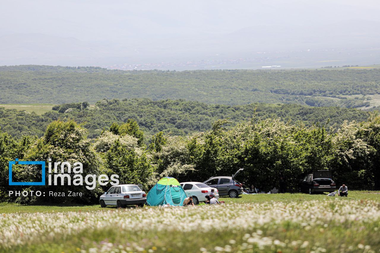 عکس/ جنگل زیبای «فندقلو»