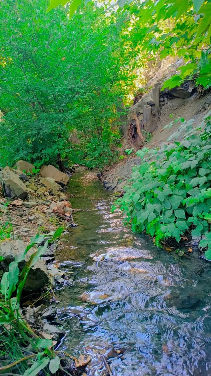 طبیعت زیبای جاغرق مشهد 