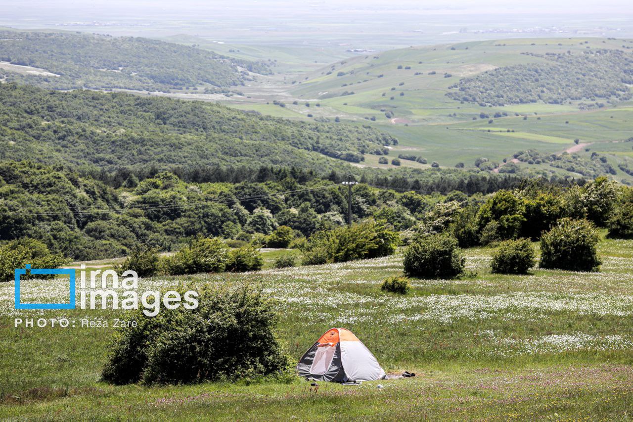 عکس/ جنگل زیبای «فندقلو»