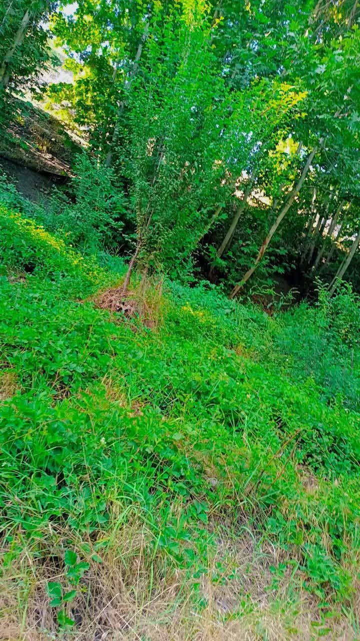 طبیعت زیبای جاغرق مشهد 