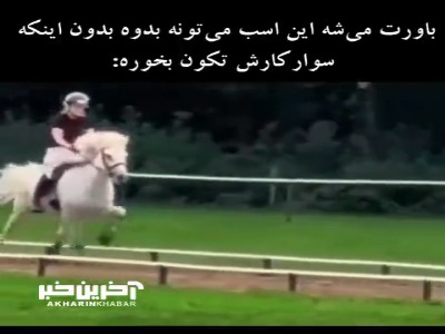 اسب ایسلندی یک نژاد خاص و قدیمی