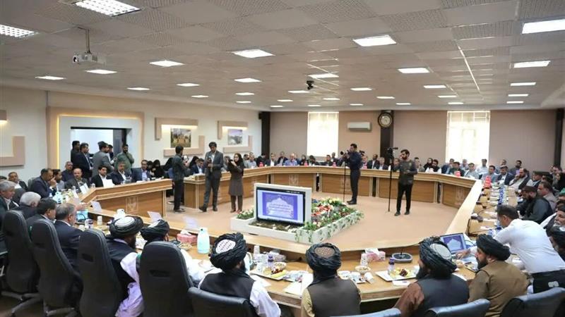 خراسان جنوبی ظرفیت مرز مشترک رسمی با افغانستان را دارد