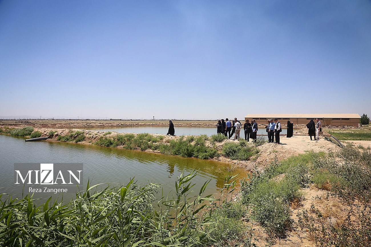 بازدید خبرنگاران از نیروگاه مفتح همدان