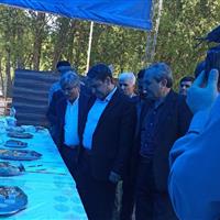 جشنواره طبخ آبزیان در بولاخلار نیر برگزار شد