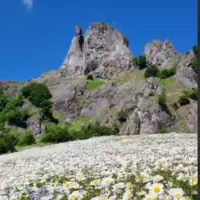 طبیعت زیبای ارتفاعات آستارا گلین داشی 