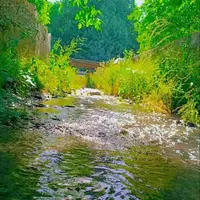 طبیعت زیبای جاغرق مشهد 