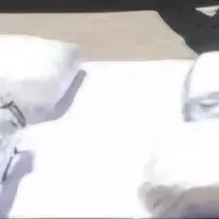 توقیف خودروی حامل ۴۳ کیلوگرم مواد مخدر در فهرج
