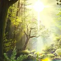 بهشت فومن نیز رونمایی شد