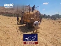 تلاش صهیونیست‌ها برای تصرف شهرک المغیر