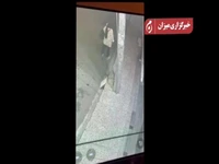 لحظه سرقت تا دستگیری باند سارقان حرفه‌ای و خشن در تهران