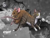 موش‌کشی به روش چینی‌ها!