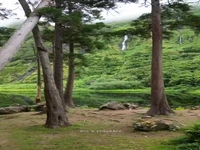 آبشارهای باورنکردنی Cascata da Ribeira do Ferreiro در پرتغال