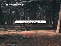 جنگلی که مسیر دنیا را عوض کرد