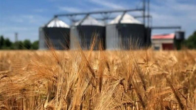 نبودن سیلو مهمترین عامل خروج گندم از قزوین است