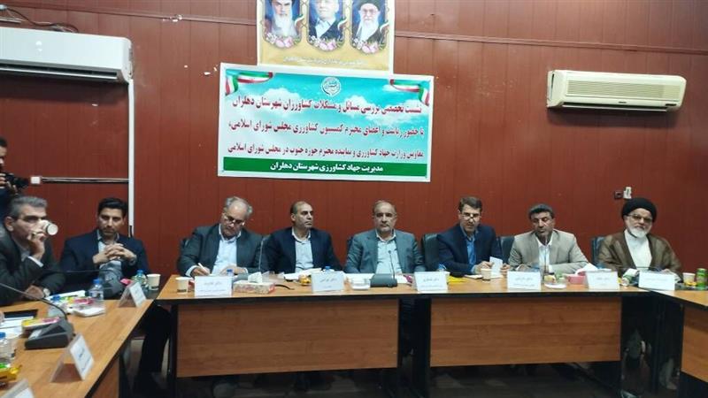 نماینده مجلس: خسارت سرما به کشاورزان دهلرانی بسیار سنگین است