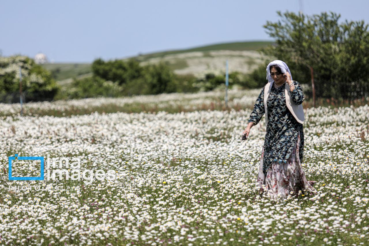 عکس/ جنگل زیبای «فندقلو»
