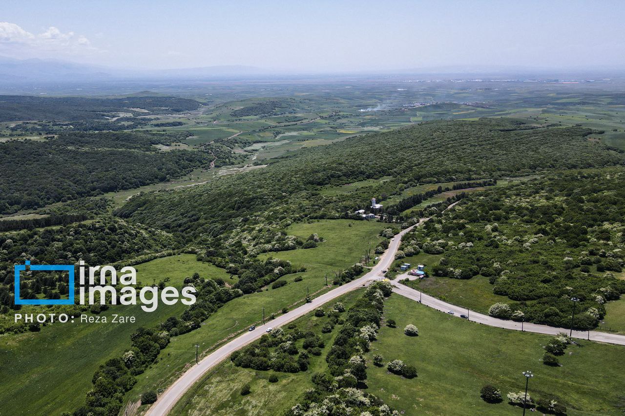 عکس/ جنگل زیبای «فندقلو»