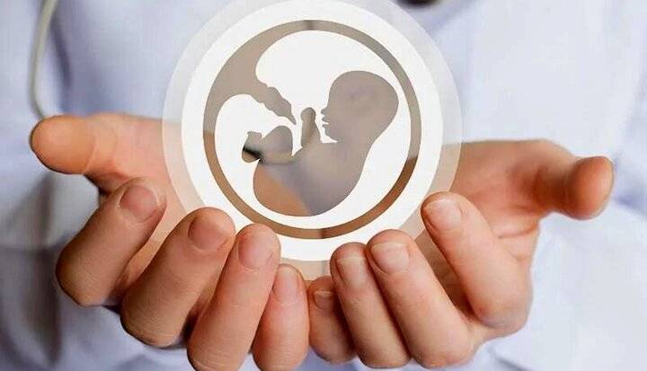 لایحه‌ای برای ضابطه‌مند کردن اهدای تخمک