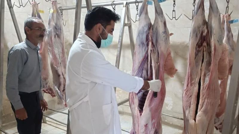 ۳۶ گروه نظارتی روز عید قربان ناظر ذبح دام در استان مرکزی هستند