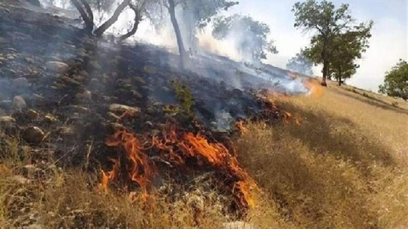 ۳۰ مورد آتش‌سوزی در مزارع کشاورزی ایلام ثبت شد