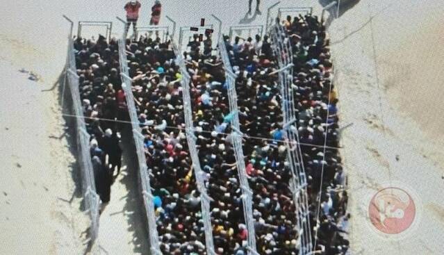 سازمان پزشکان بدون مرز: اسرائیل با توزیع کمکهای غذایی، روند پاکسازی نژادی را پیش میبرد