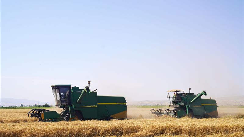 ساماندهی ۱۴۵۹ دستگاه کمباین برای برداشت محصول در استان اردبیل