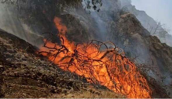 آتش‌سوزی در کوه ماغر شهرستان بهمئی