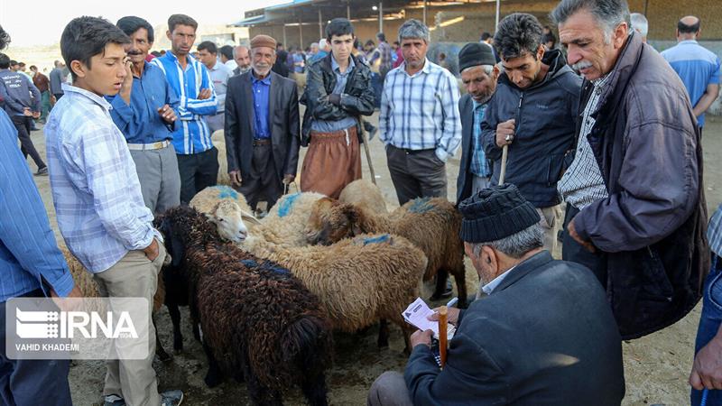 ۱۷ مرکز عرضه دام قربانی در خراسان شمالی ساماندهی شد