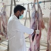 ۳۶ گروه نظارتی روز عید قربان ناظر ذبح دام در استان مرکزی هستند