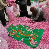 عکس/ نذر گل برای امام حسین(ع)
