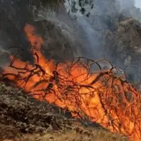 ٣۵ هکتار از مناطق حفاظت‌شده بخش مرزی باجگیران در آتش سوخت