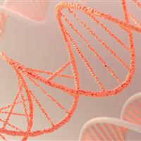 بررسی انتقال RNA به نقاطی فراتر از کبد برای درمان سرطان