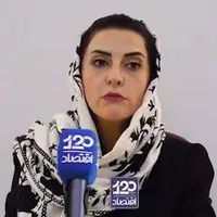 کشورهای عربی همسایه، مدام به تولیدکنندگان ما می‌گویند چرا در ایران معطل هستید؟