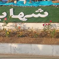 جشنواره گل و گلاب شهابیه خمین؛ غیبت «گل محمدی» و انتقاد از کیفیت برگزاری