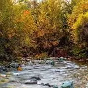 طبیعت زیبای روستای شهرستانک