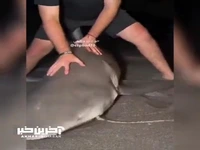 نزدیک بود انگشتشو از دست بده!