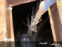 انتقال سوخت توسط قاچاقچیان وسط دریا
