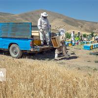 معاون استاندار: ۲۸ طرح درآمدزا برای دهیاری‌های کرمانشاه تصویب شد